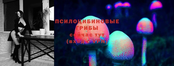 эйфоретик Зеленокумск